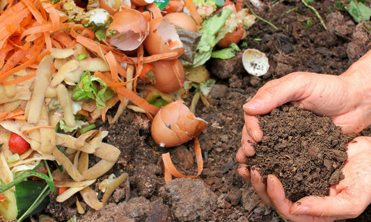 Our Spring Eco-Tip: Start Composting!