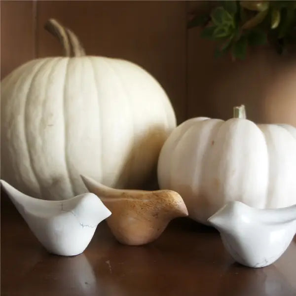 Natural Bird Soapstone