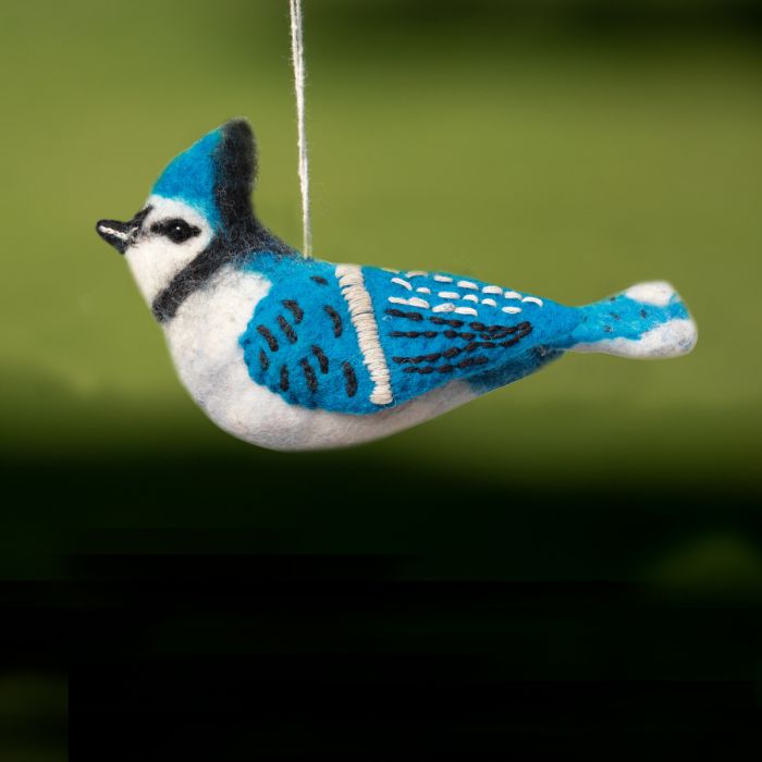 Blue Jay Woolie Bird