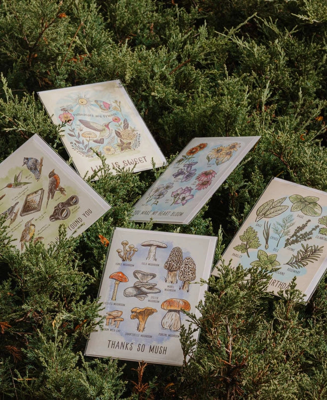 Botanical Greeting Cards