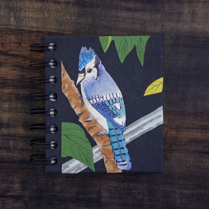 Small Blue Jay Notebook