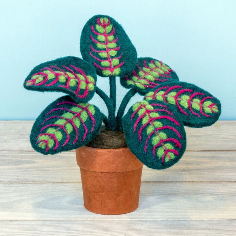 Felt Potted Prayer Plant