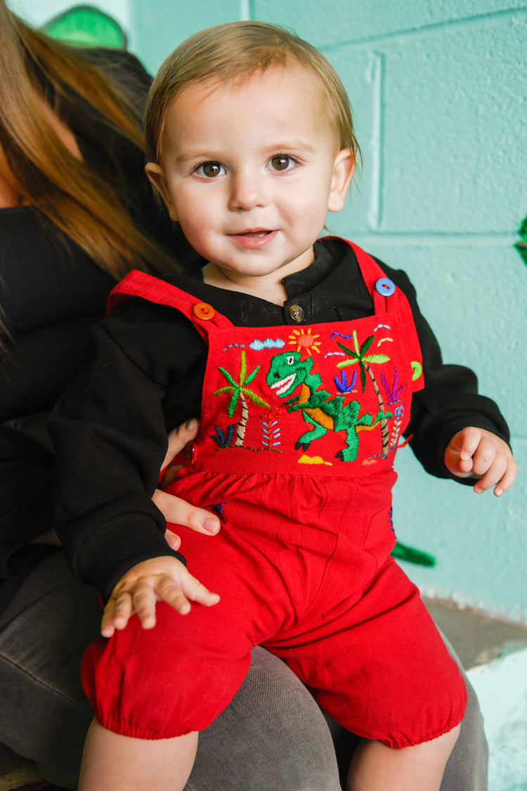 Kids Embroidered Dinosaur Overalls