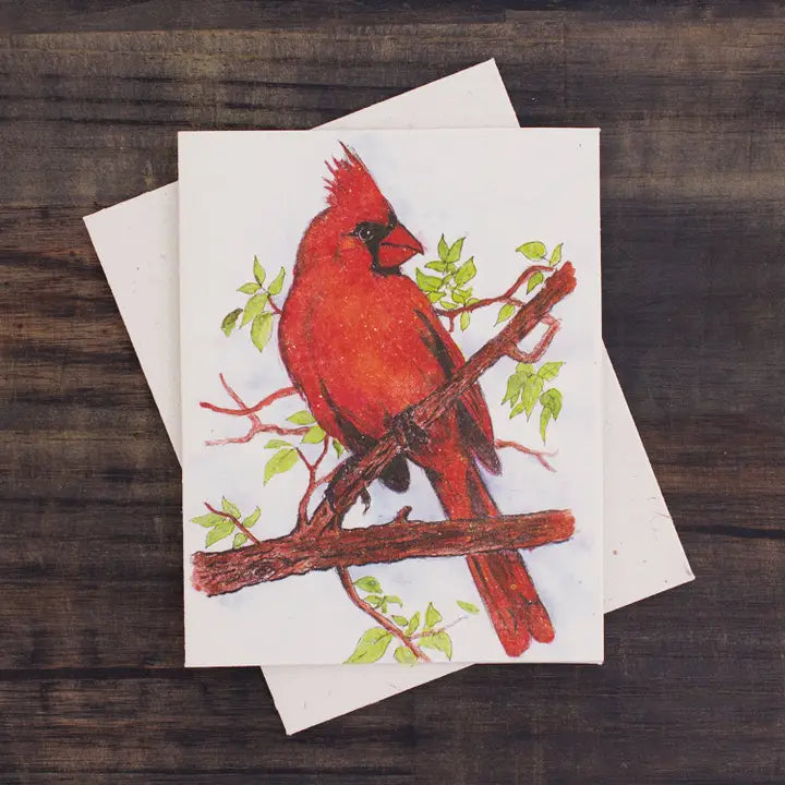 Cardinal Sketch Greeting Card