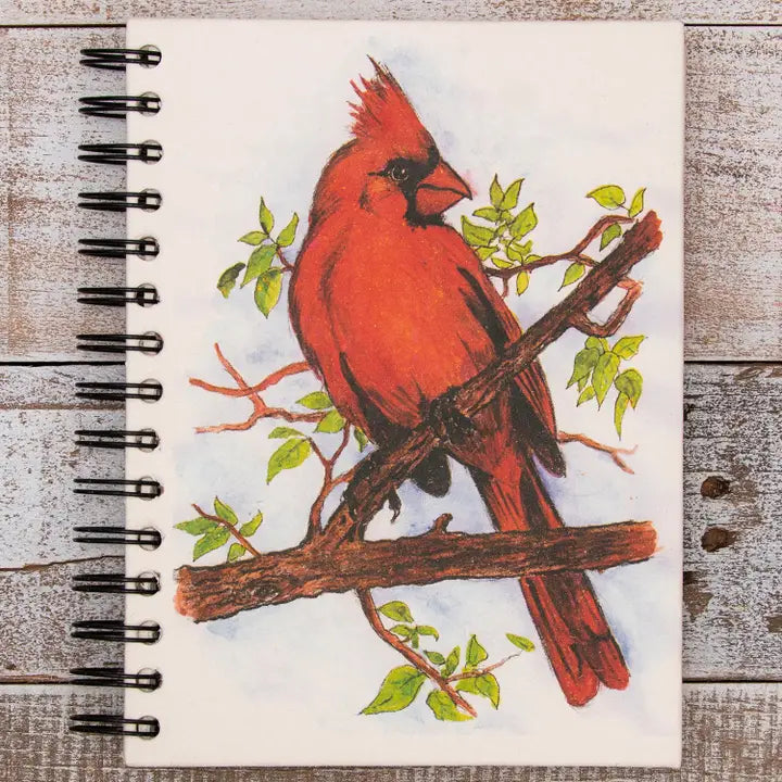 Large Cardinal Sketch Notebook