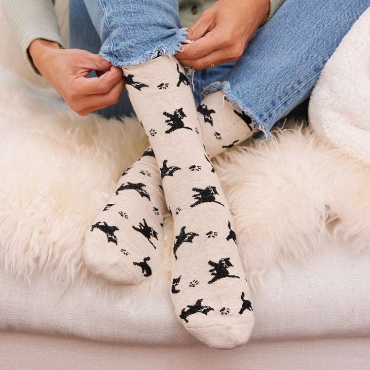 Socks That Save Cats