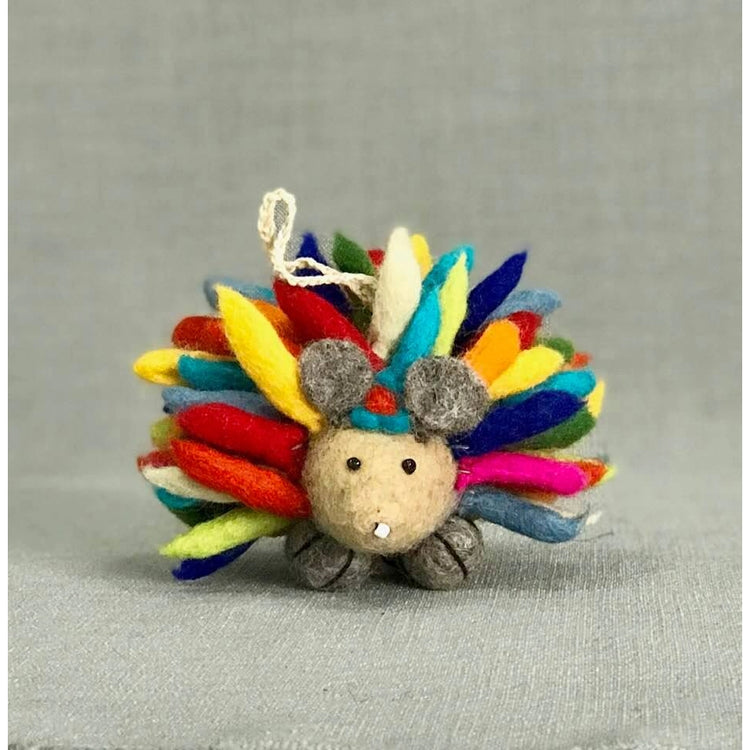 Hedgehog Small Rainbow