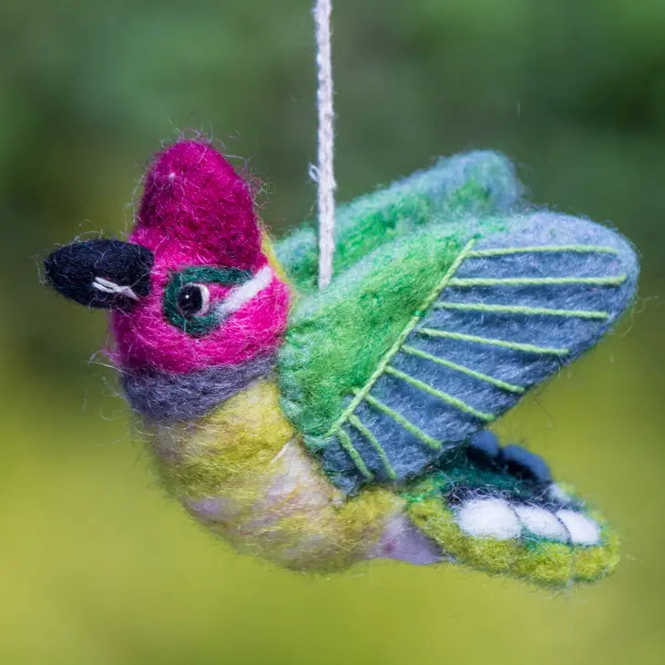 Anna's Hummingbird Woolie Bird