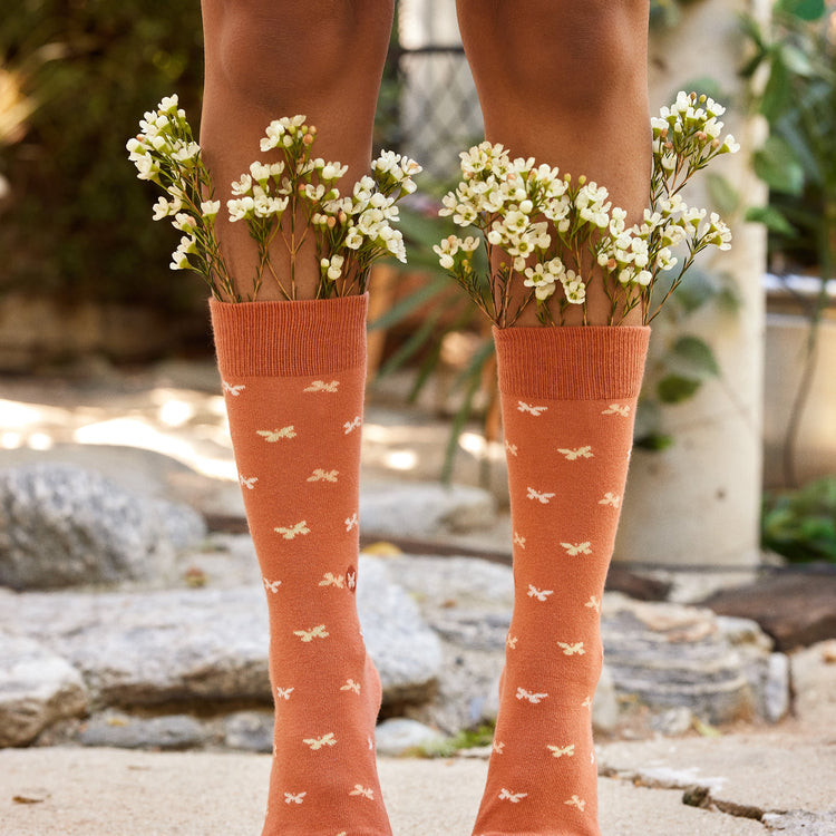 Boxed Set of Socks That Stop Violence Against Women