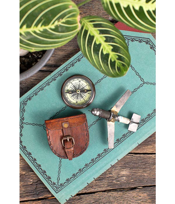 Wanderer's Compass
