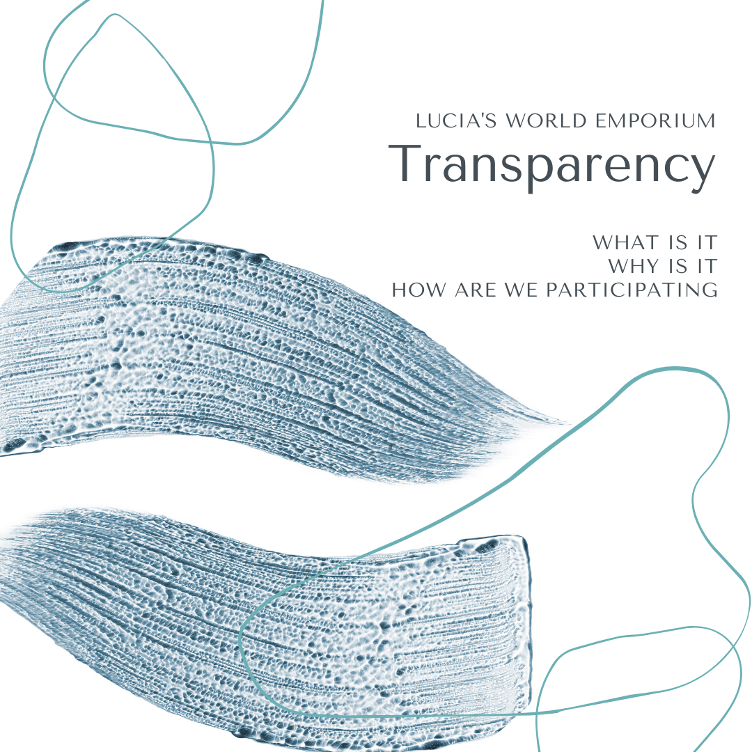 The What, Why, and How of Transparency – Lucia's World Emporium