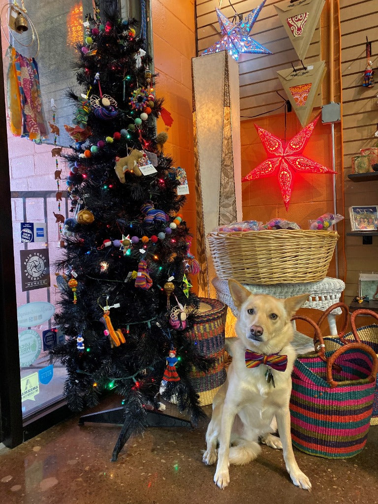 Last Minute 2019 Holiday Gift Guide