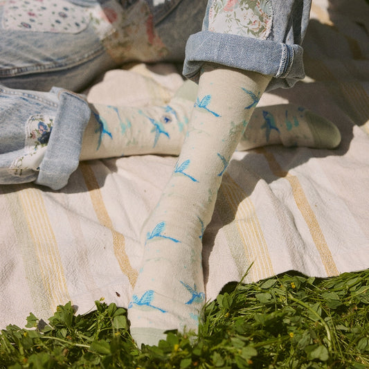 Socks That Protect Hummingbirds