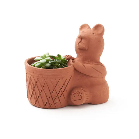 Rakshana Bear Plant Pot