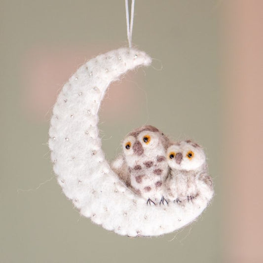 Night Owls Ornament