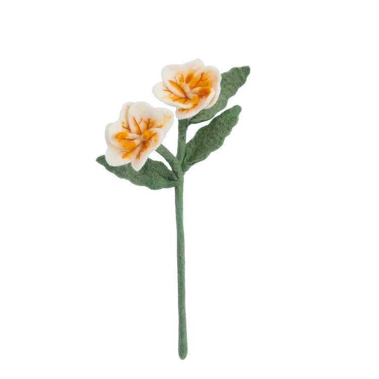 Felt Primrose