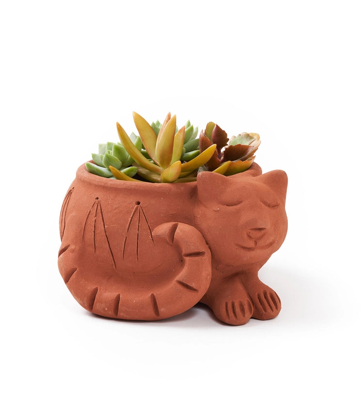 Rakshana Cat Planter