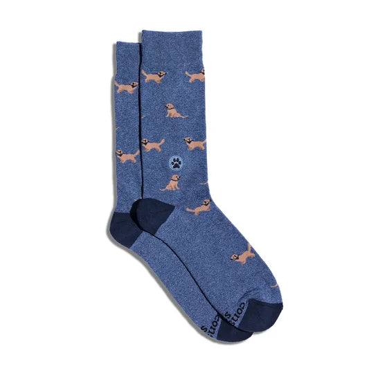 Blue Socks That Save Dogs