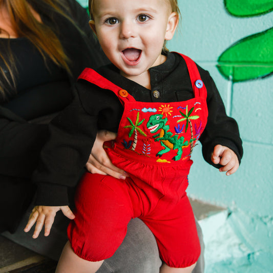 Kids Embroidered Dinosaur Overalls