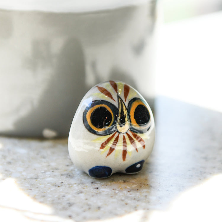 Baby Owl