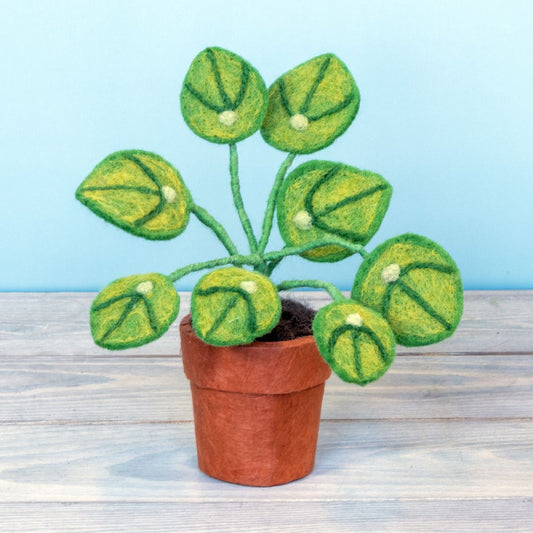Felt Potted Money Plant