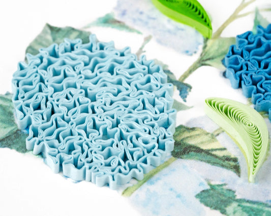 Wild Hydrangea Gift Enclosure Card