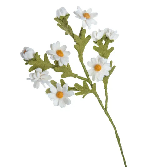 Felted Chamomile