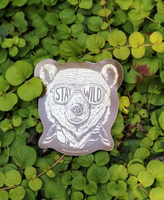 Stay Wild Bear Sticker