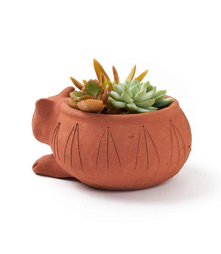 Rakshana Cat Planter