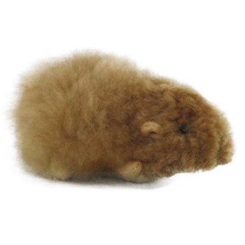 brown alpaca fur guinea pig