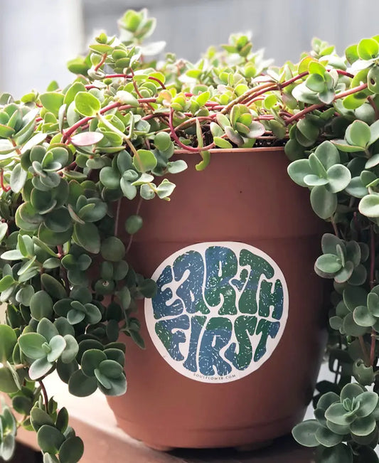 Soul Flower Earth Lover Stickers
