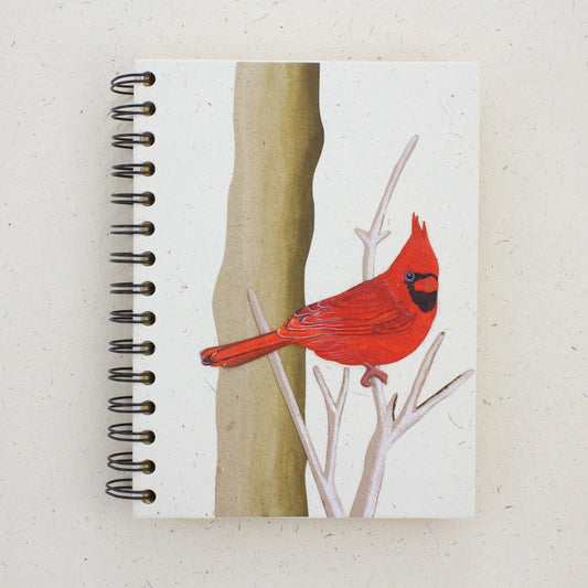 Large Notebook Cardinal N White