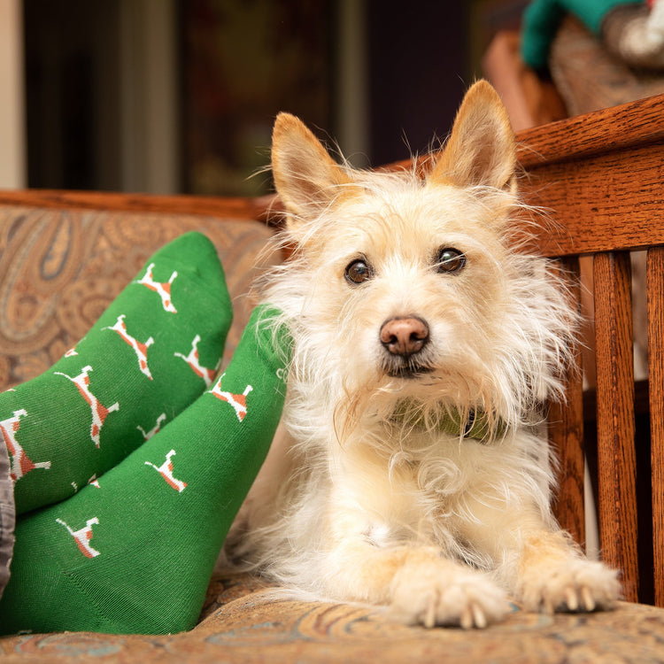 Boxed Set Socks That Save Dogs