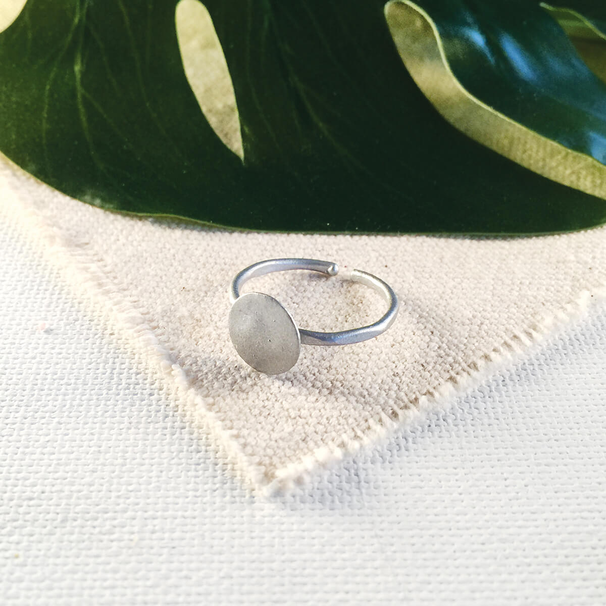 World Finds Silver Shashi Ring