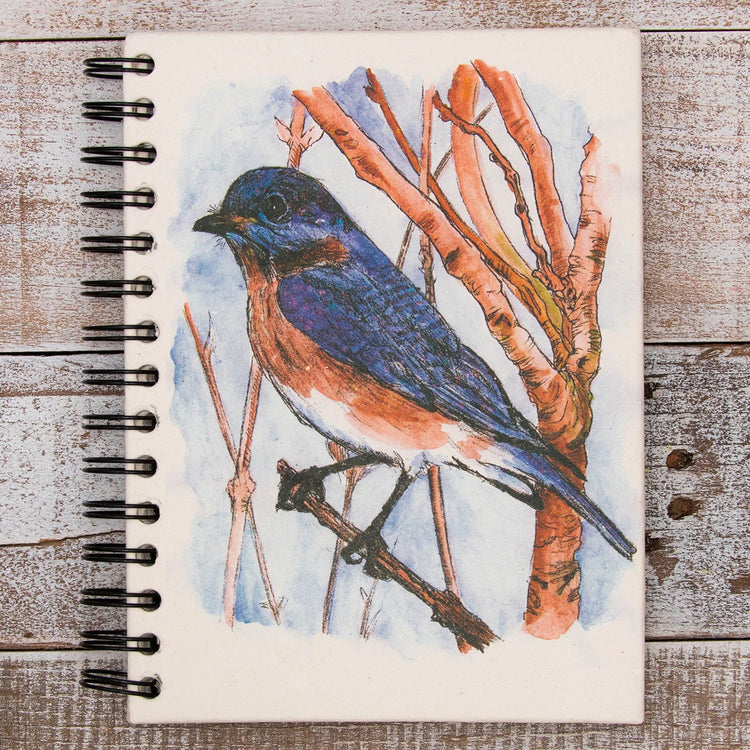 Large Notebook Bluebird Sketch