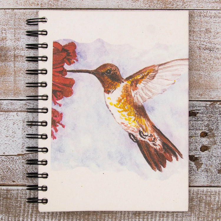 Large Notebook Hummingbird Sketch