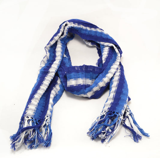 blue and white Kentucky scarf